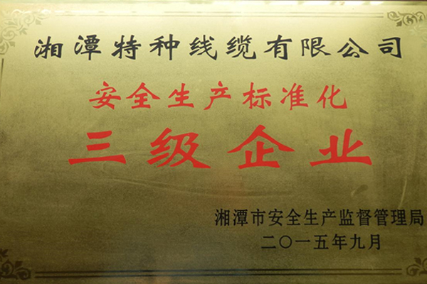 201509安全生產(chǎn)標(biāo)準(zhǔn)化三級企業(yè).jpg